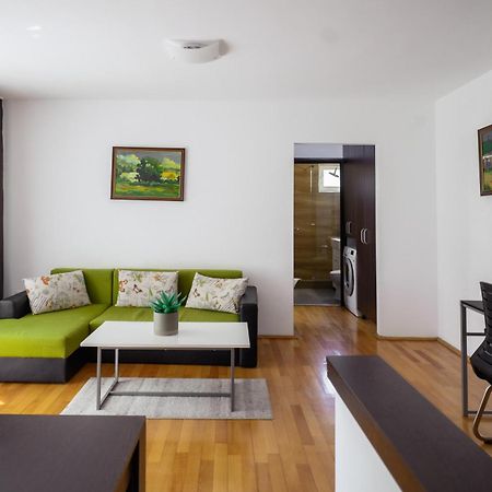 Apartament Family Rivulus 9 Baia Mare Dış mekan fotoğraf