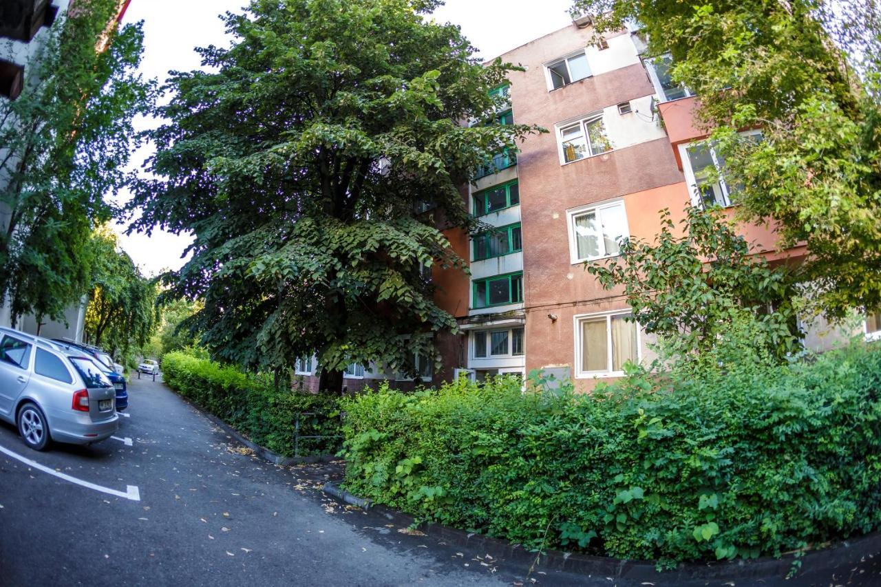 Apartament Family Rivulus 9 Baia Mare Dış mekan fotoğraf
